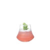 Ly thủy tinh núi lửa trơn 320ml (C3106)