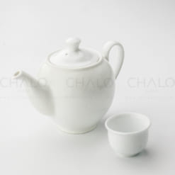 am-tra-su-trang-ohio-01S2 (3)