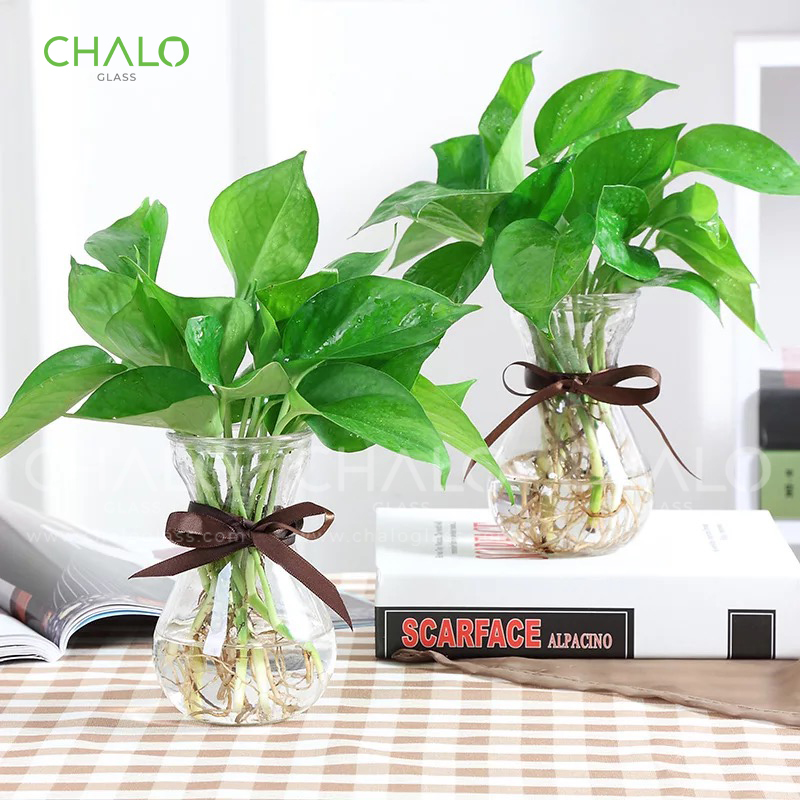 chai-thuy-tinh-dang-loe-trong-hoa-thuy-tien-350ml (1)