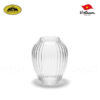 lo hoa thuy tinh dang chum soc 18 - thuy tinh thanh xuan