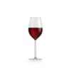ly-ruou-vang-thuy-tinh-libbey-salta-wine-800289