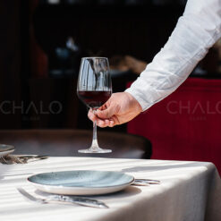 ly-ruou-vang-thuy-tinh-ocean-vino-wine-1530R16 (2)