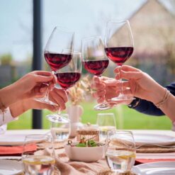 ly thuy tinh Luminarc Maine Wine V4225-4226-4227 (2)