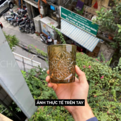 ly-thuy-tinh-libbey-hobstar-dof-color (1)