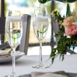 ly-thuy-tinh-ocean-saly-thuy-tinh-ocean-sante-flute-champagne-26F07 (1)nte-flute-champagne-26F07 (3)