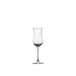 Ly thuỷ tinh Tulip Tasting LJPJ07 - 140ml