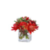 tru-hoa-thuy-tinh-dang-vuong-square-glass-vase (1)