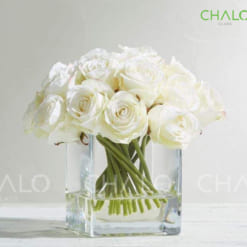 tru-hoa-thuy-tinh-dang-vuong-square-glass-vase (1)